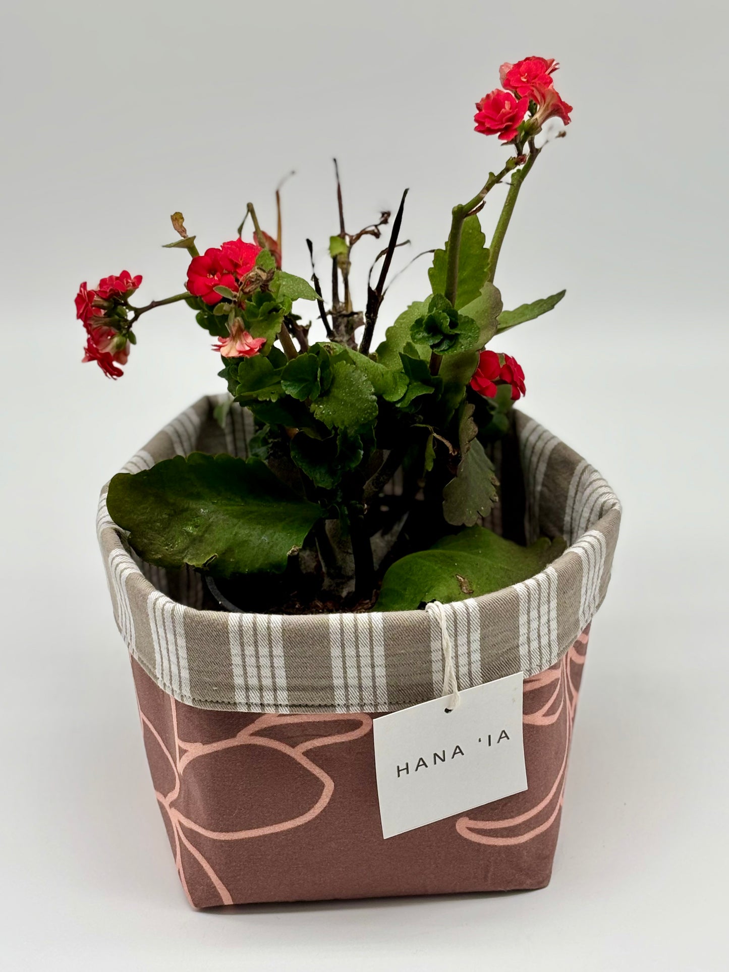 Garden Geranium in a Hana I‘a Puakinekine Palaka-print planter—where classic floral beauty meets timeless island design