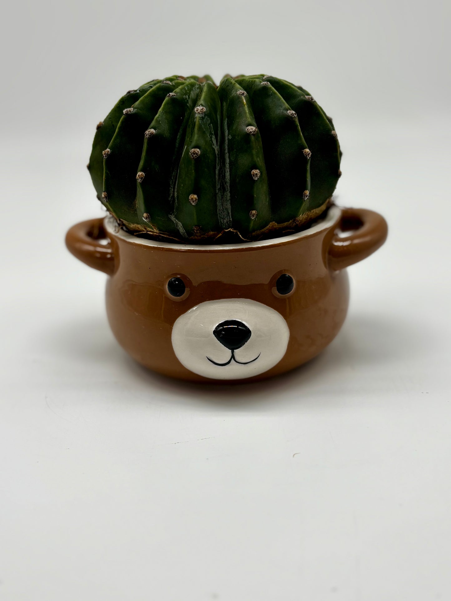 Easter Lily Cactus 🌵 in Tiny 🐻