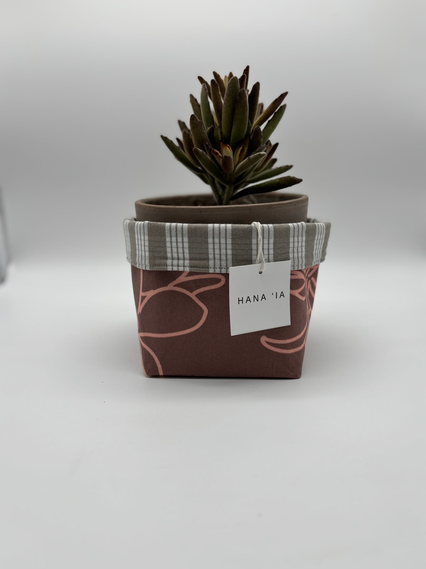 Panda Ears thriving in a Hana I‘a handcrafted planter, adorned with Palaka patterns and delicate pink florals