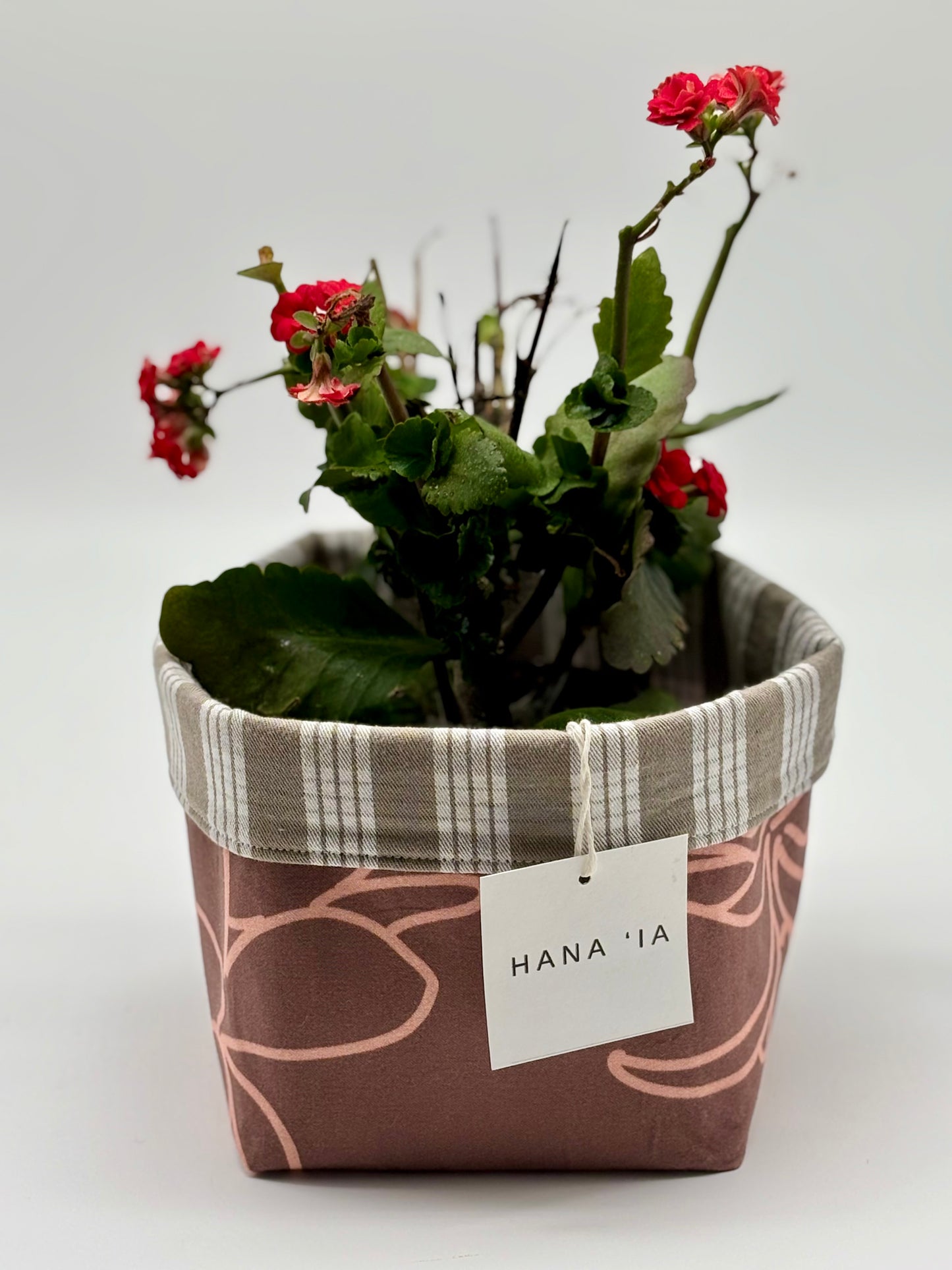 Garden Geranium in a Hana I‘a Puakinekine Palaka-print planter—where classic floral beauty meets timeless island design