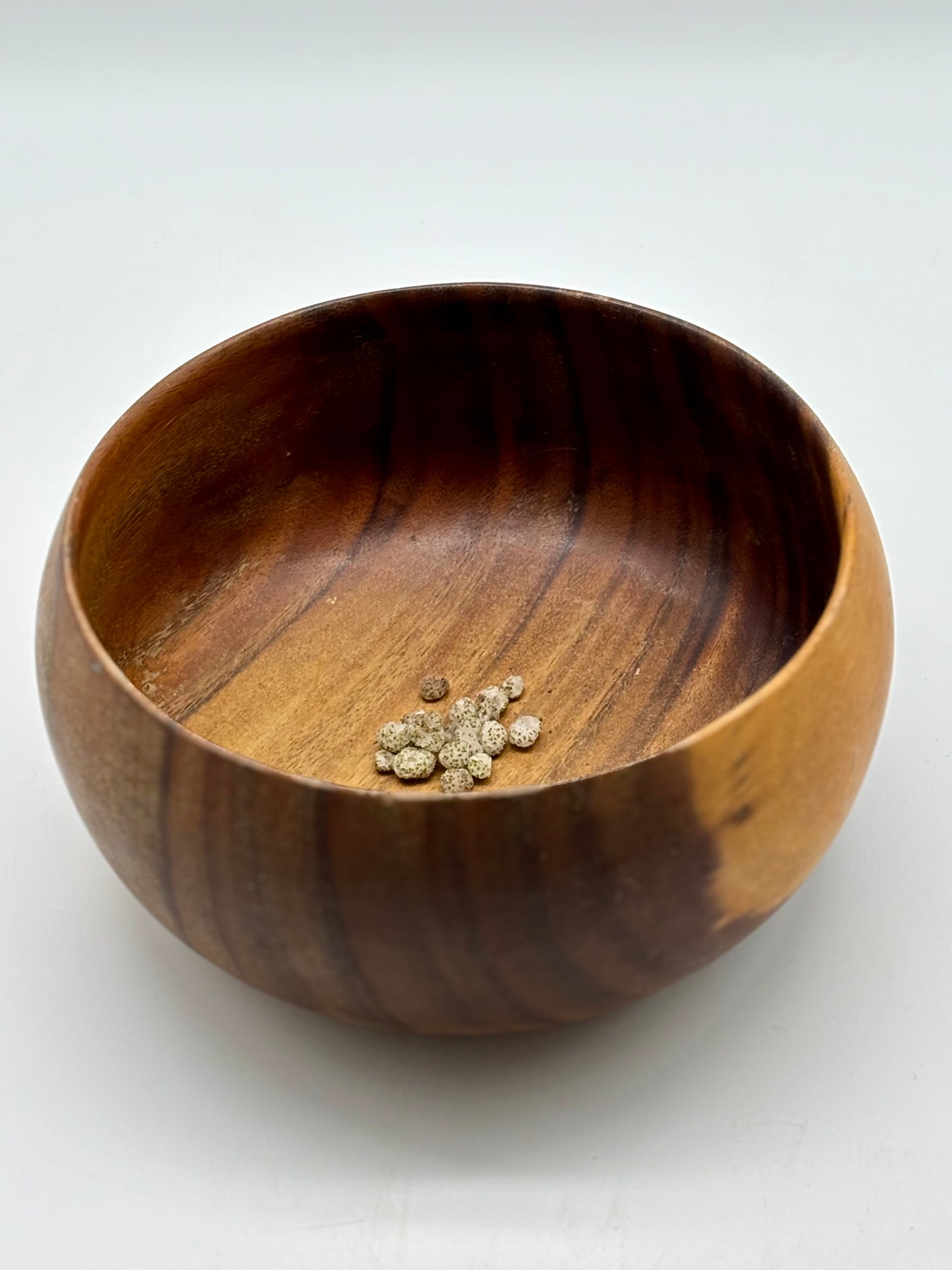 Freshly harvested Māmaki seeds (8/24/2025), carefully stored in a sealed jar to maintain quality until pick-up