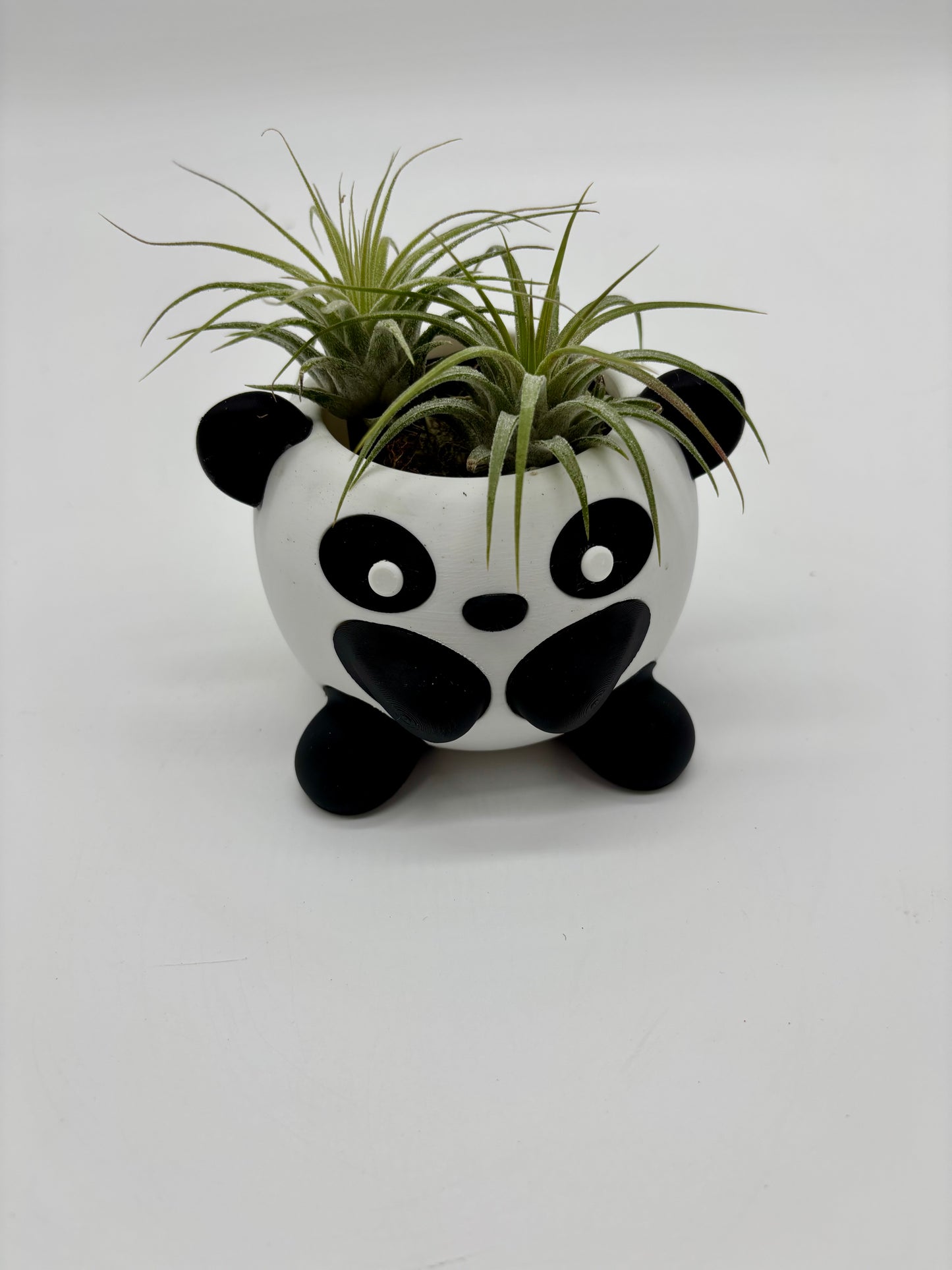 Most adorable panda bear with Sky Plant hair as the sweetest little token