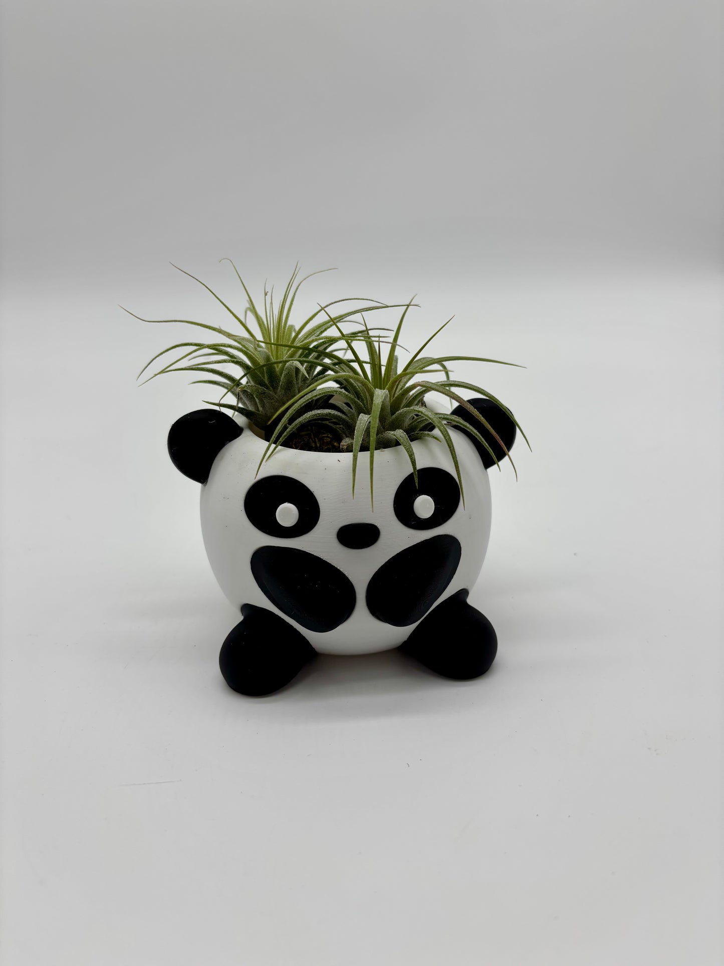 Most adorable panda bear with Sky Plant hair as the sweetest little token