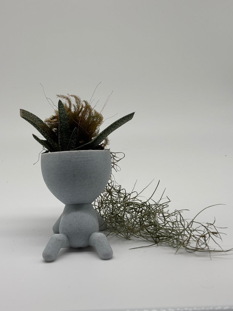 Mr. Relaxed with Pele's Hair, Spanish Moss & Keeled Oxtongue