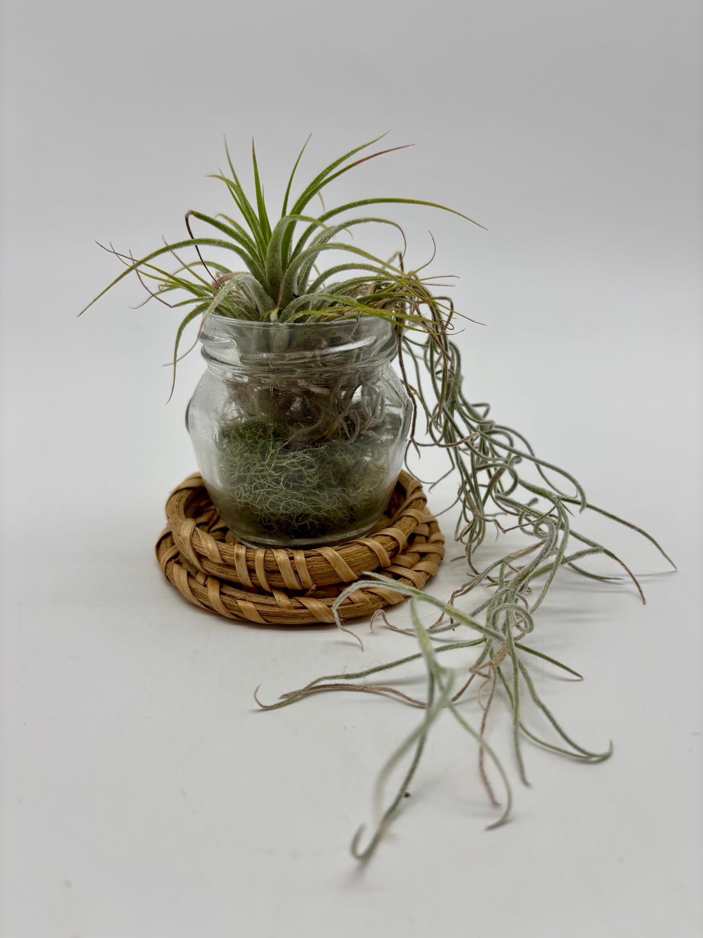 Sky Plant in Glass Jar with Pele's Hair and Woven Coaster