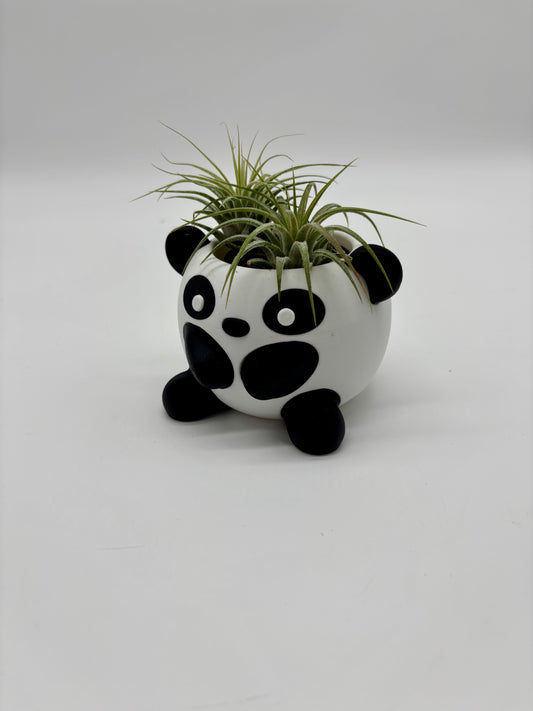 Most adorable panda bear with Sky Plant hair as the sweetest little token