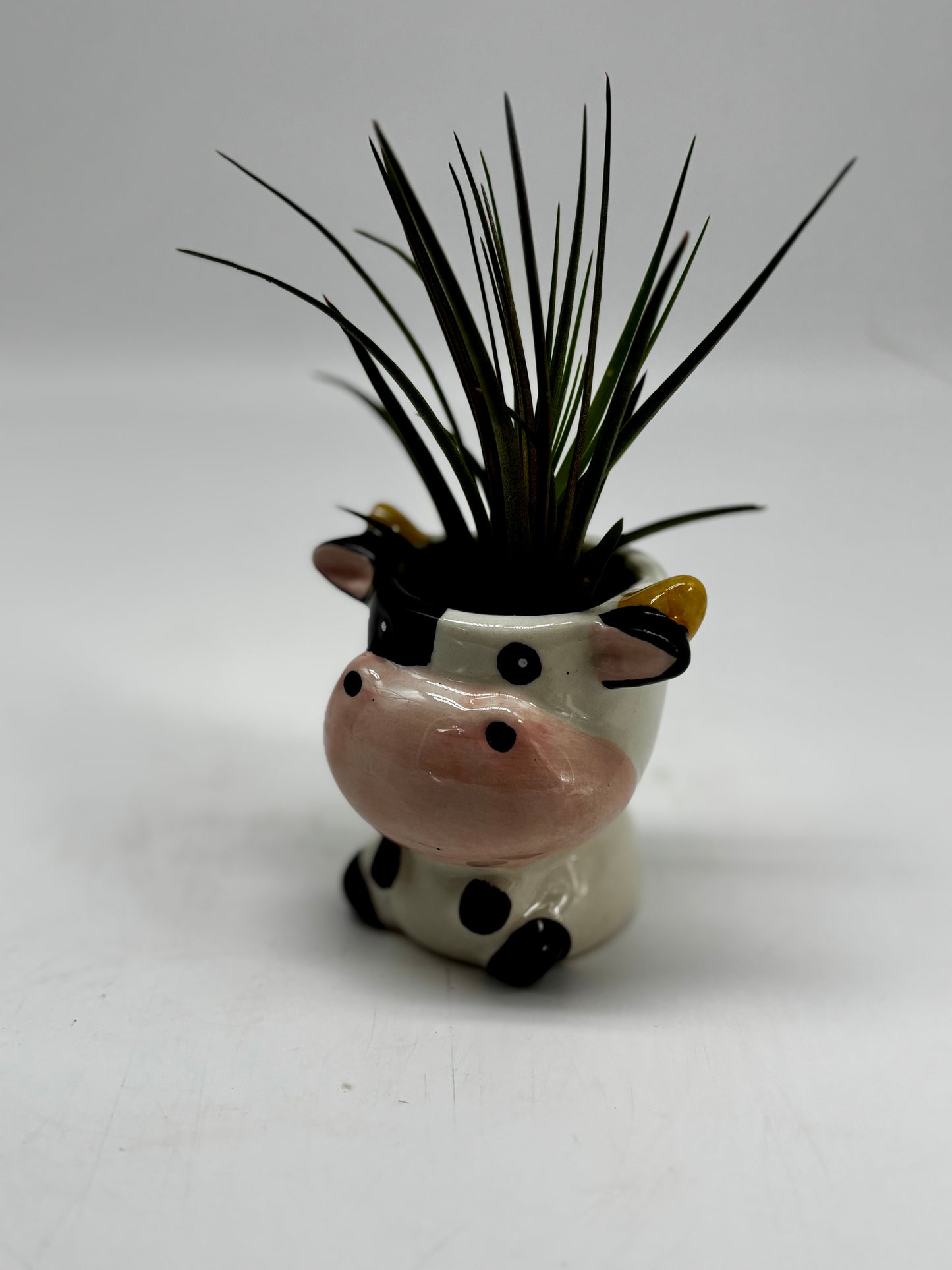Mr. Cow with tall Tracheophytes hair in tiny animal figurine with drainage