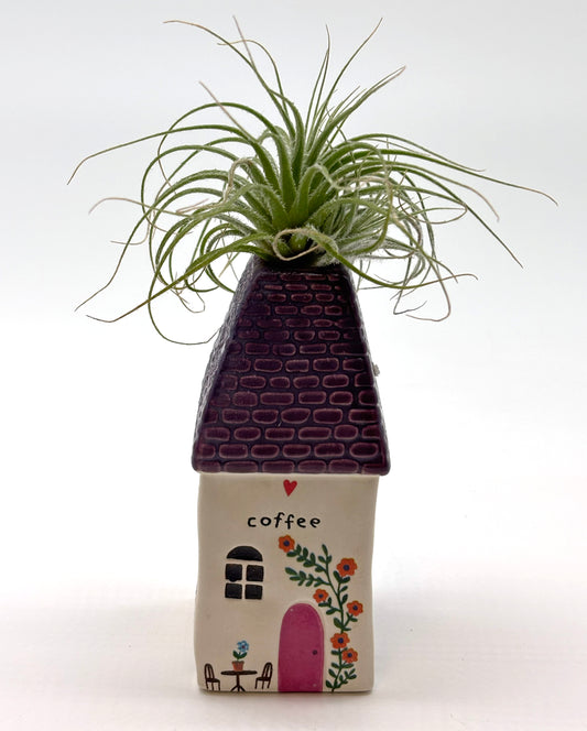 Sky Plant in Tiny Ceramic Coffee Trinket