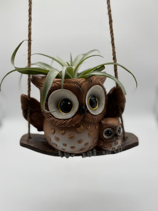 Hanging Owl Planter stylishly paired with Giant Airplant for a decorative flourish 🪴 visit our e-commerce site at www.shopbrightdusk.com