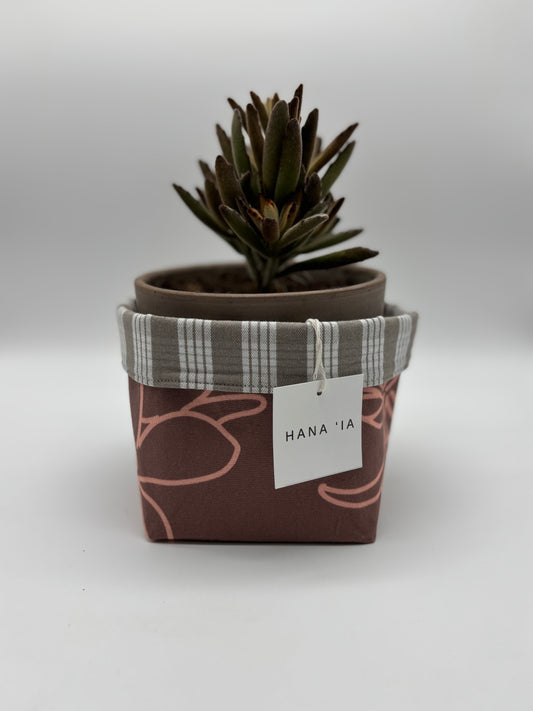 Panda Ears thriving in a Hana I‘a handcrafted planter, adorned with Palaka patterns and delicate pink florals