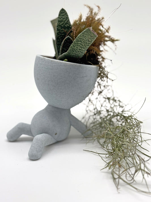 Mr. Relaxed with Pele's Hair, Spanish Moss & Keeled Oxtongue