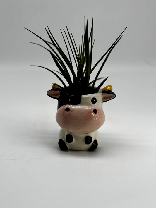 Mr. Cow with tall Tracheophytes hair in tiny animal figurine with drainage