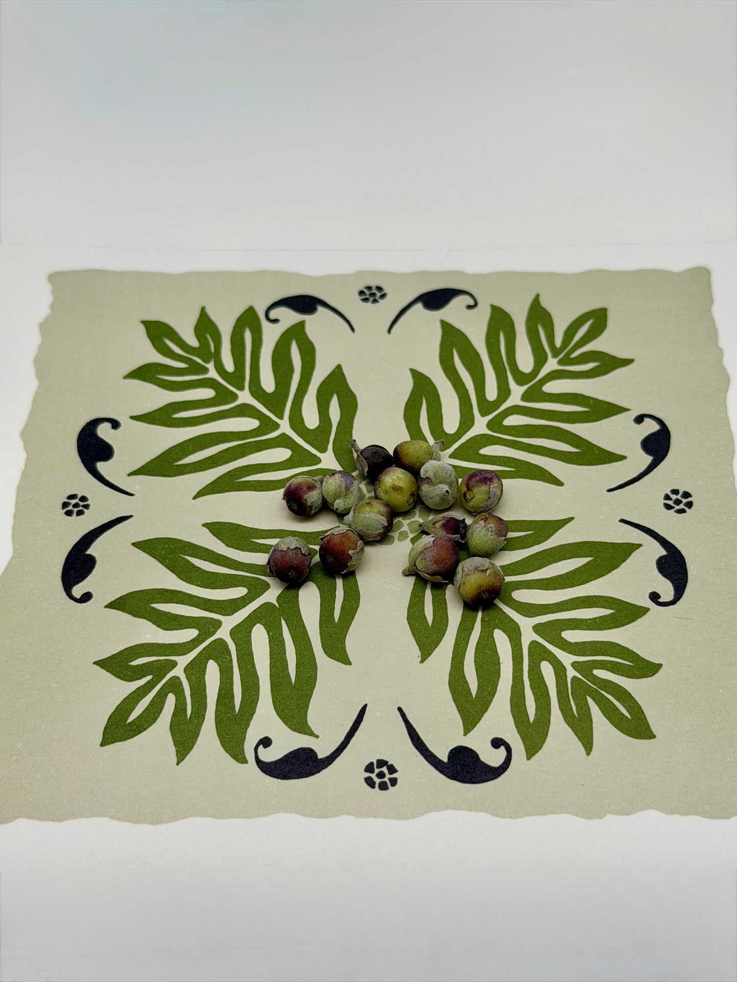 Indigenous Hawaiian Pōhinahina seeds