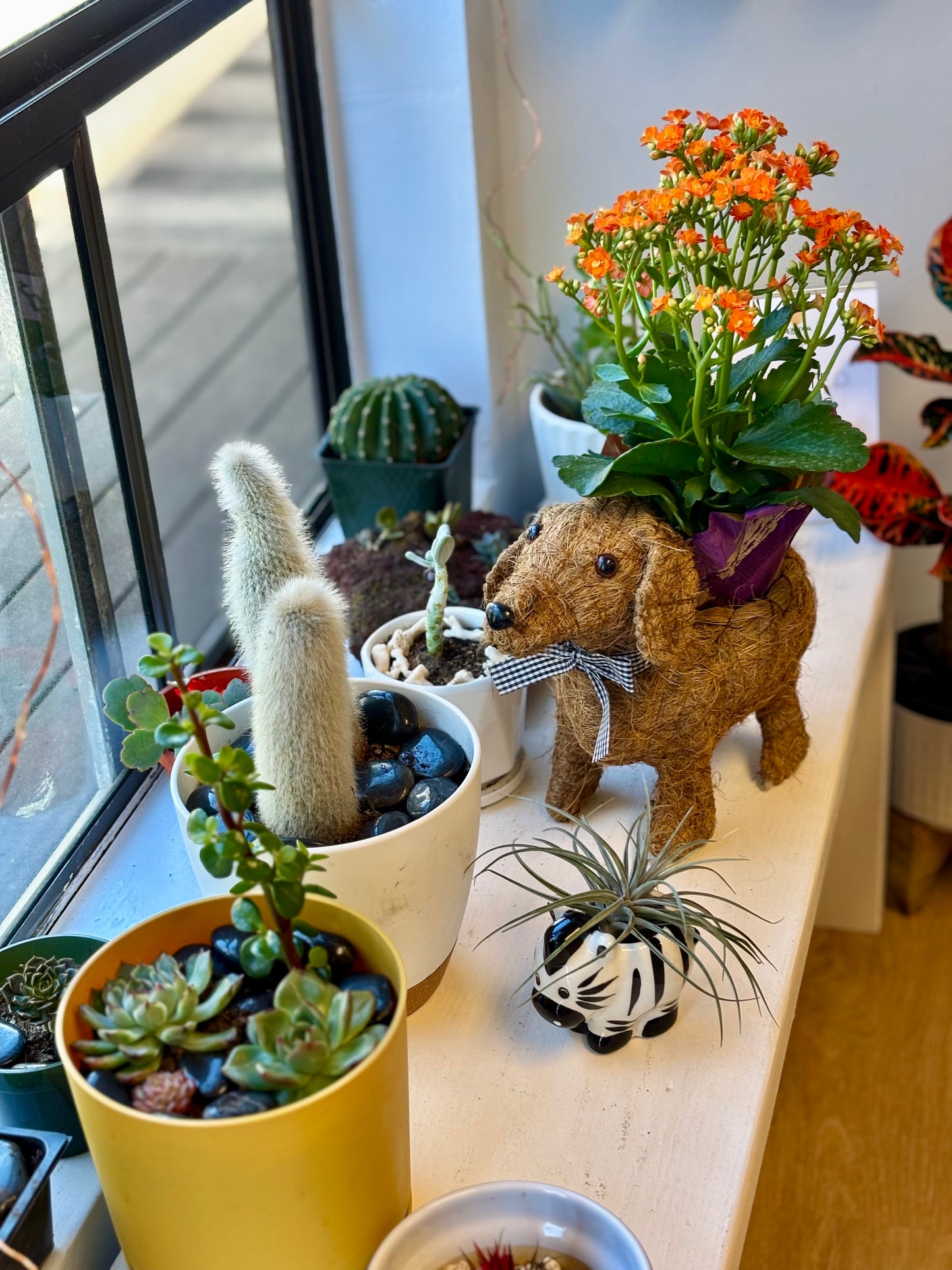 Store front window display 💝