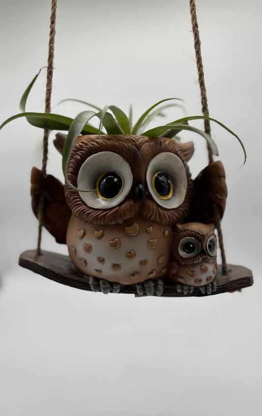 Hanging Owl Planter stylishly paired with Giant Airplant for a decorative flourish 🪴 visit our e-commerce site at www.shopbrightdusk.com