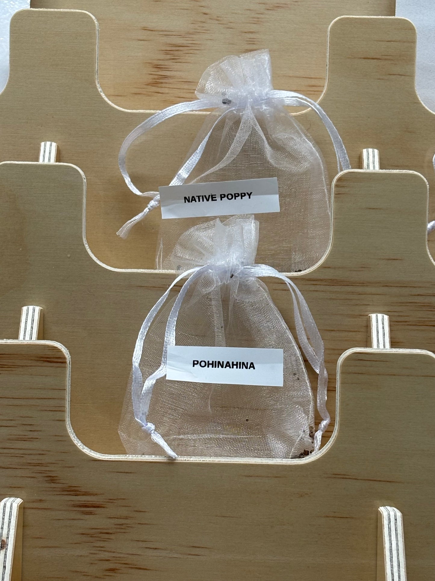 Endemic Native Hawaiian Seeds