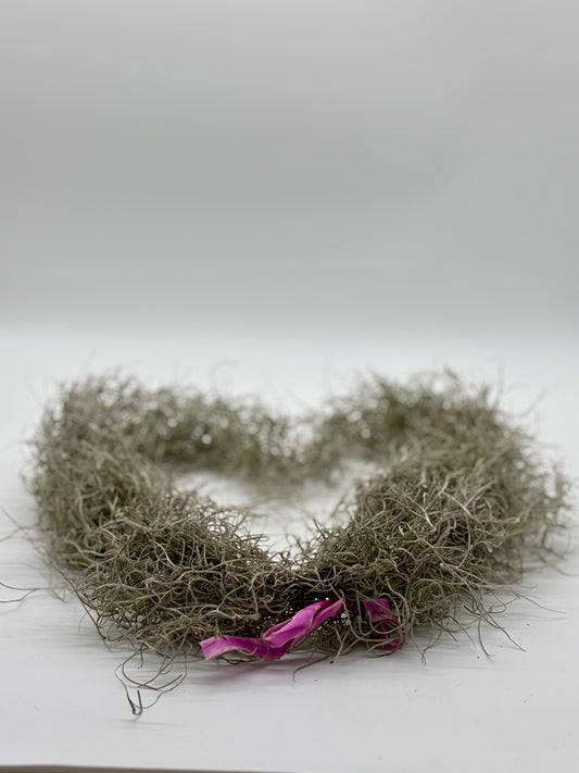 Pele's Hair--healthy, robust, and ready for purchase and planting