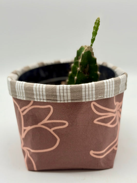 Triangle Cactus in Hana I'a 6" Planter