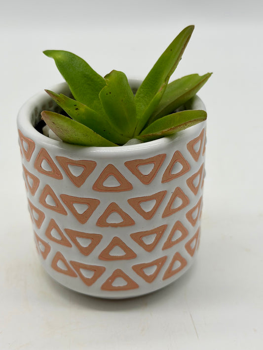 Red Pagoda in Clay Pot